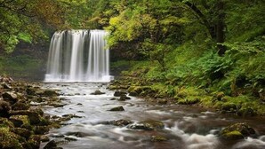 A waterfall surrounded by lush greenery. - Sgwd Gwladys (Neath)