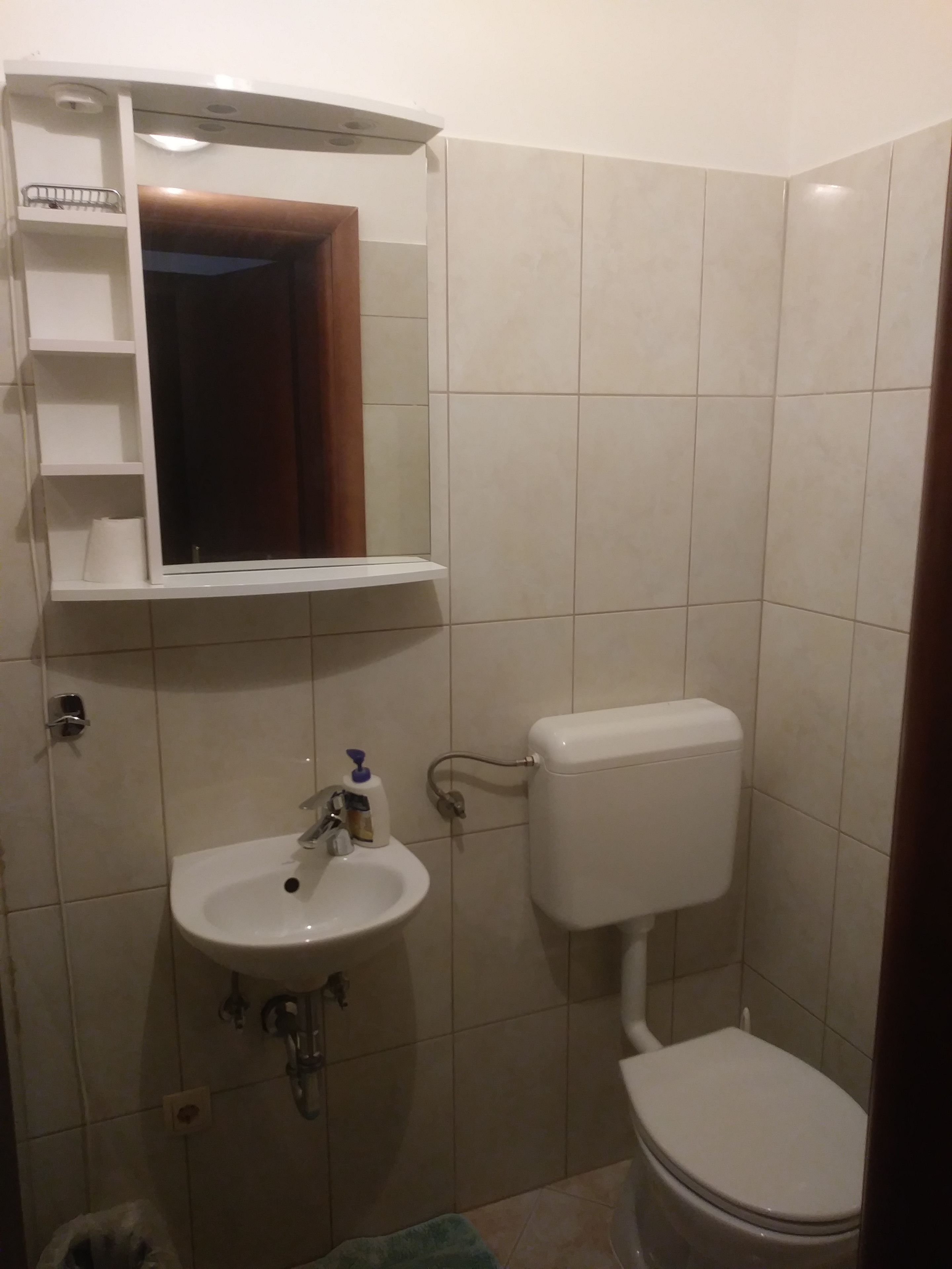 Een badkamer met een wit wastafel, een spiegel en een toilet.