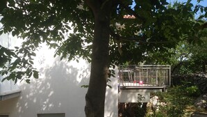 Un edificio bianco con un balcone, circondato da alberi e vegetazione.