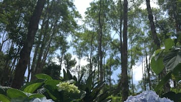 Ecotours
