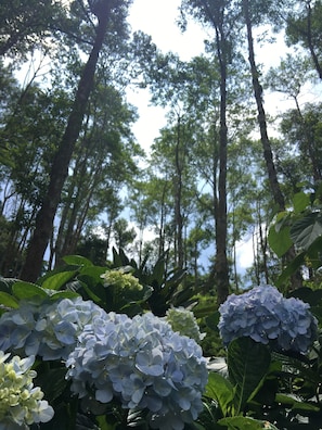 Ecotours - Tiin Tinn (Taitung)