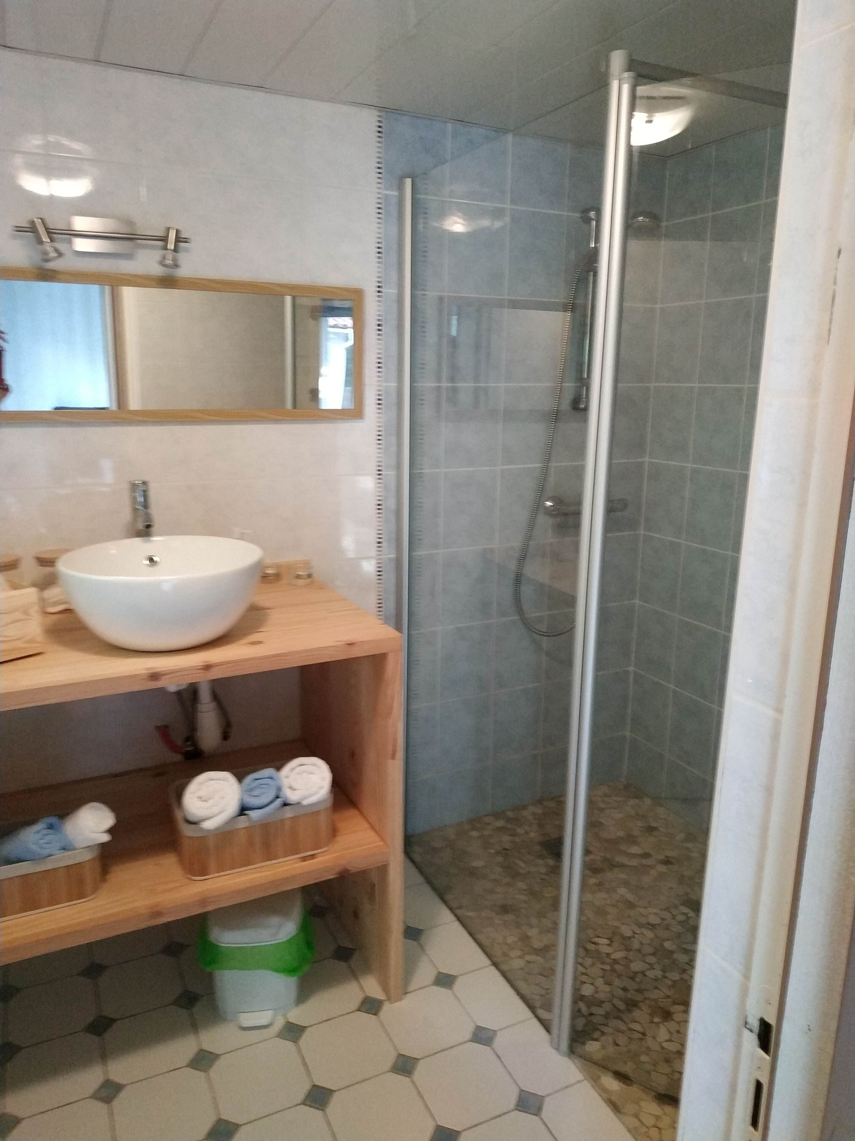 Regadera, toallas, shampoo, papel de baño 