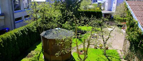 Family Studio | Garden view