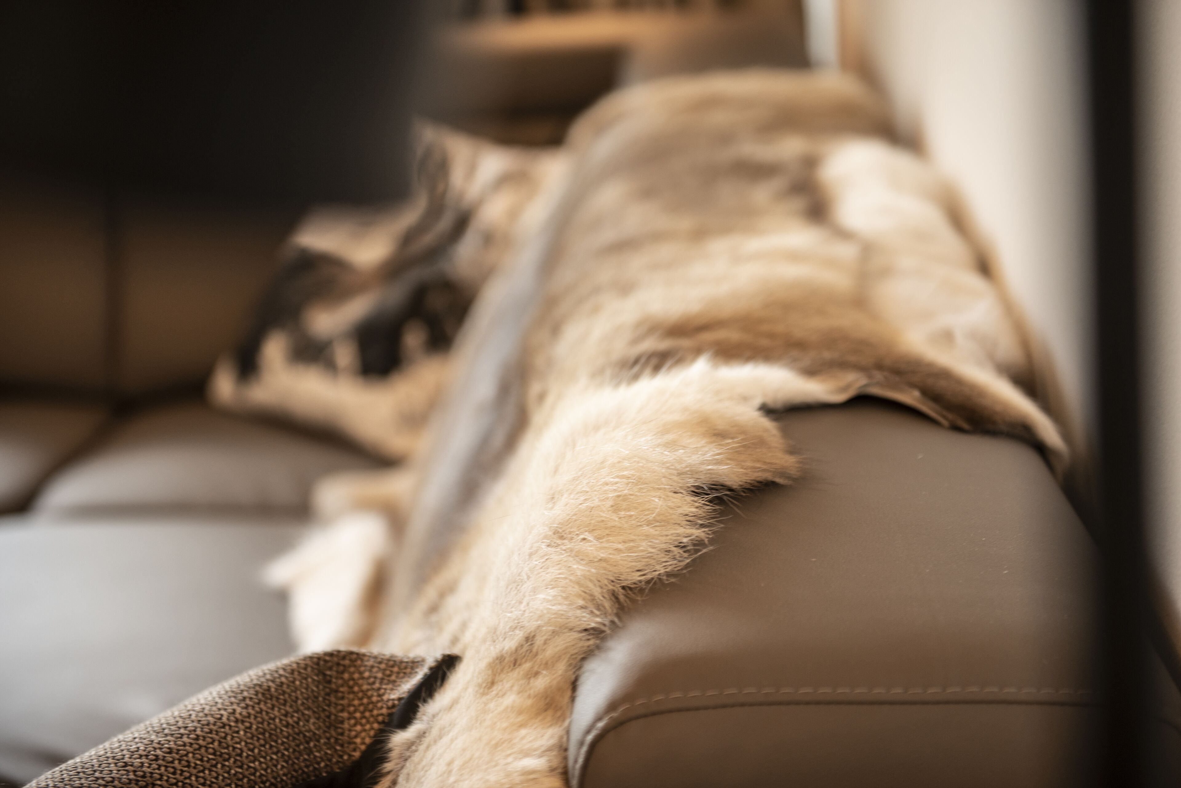 Eine Couch mit einem Fellüberwurf.