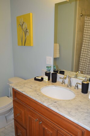 Shower, hair dryer, towels, soap - "Margaux" Fully renovated 2 bed / 2 bath  Walk to WWII, Superdome, Convention Center, Cruise Port (New Orleans)