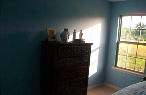 ANO, Tech, Nebo, Petit Jean