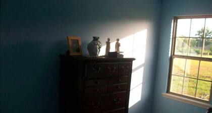 ANO, Tech, Nebo, Petit Jean