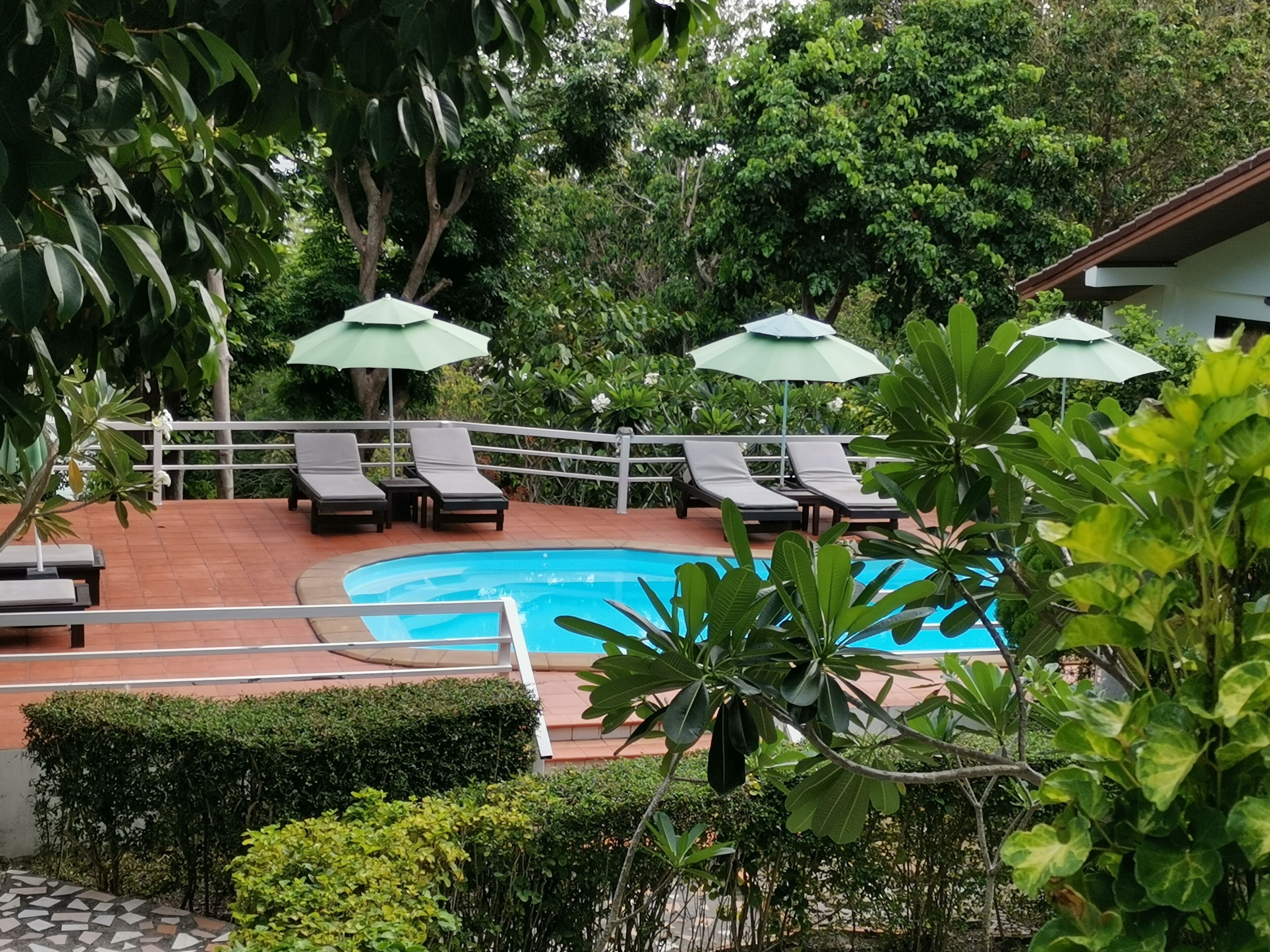 A swimming pool with lounge chairs and umbrellas, surrounded by greenery.