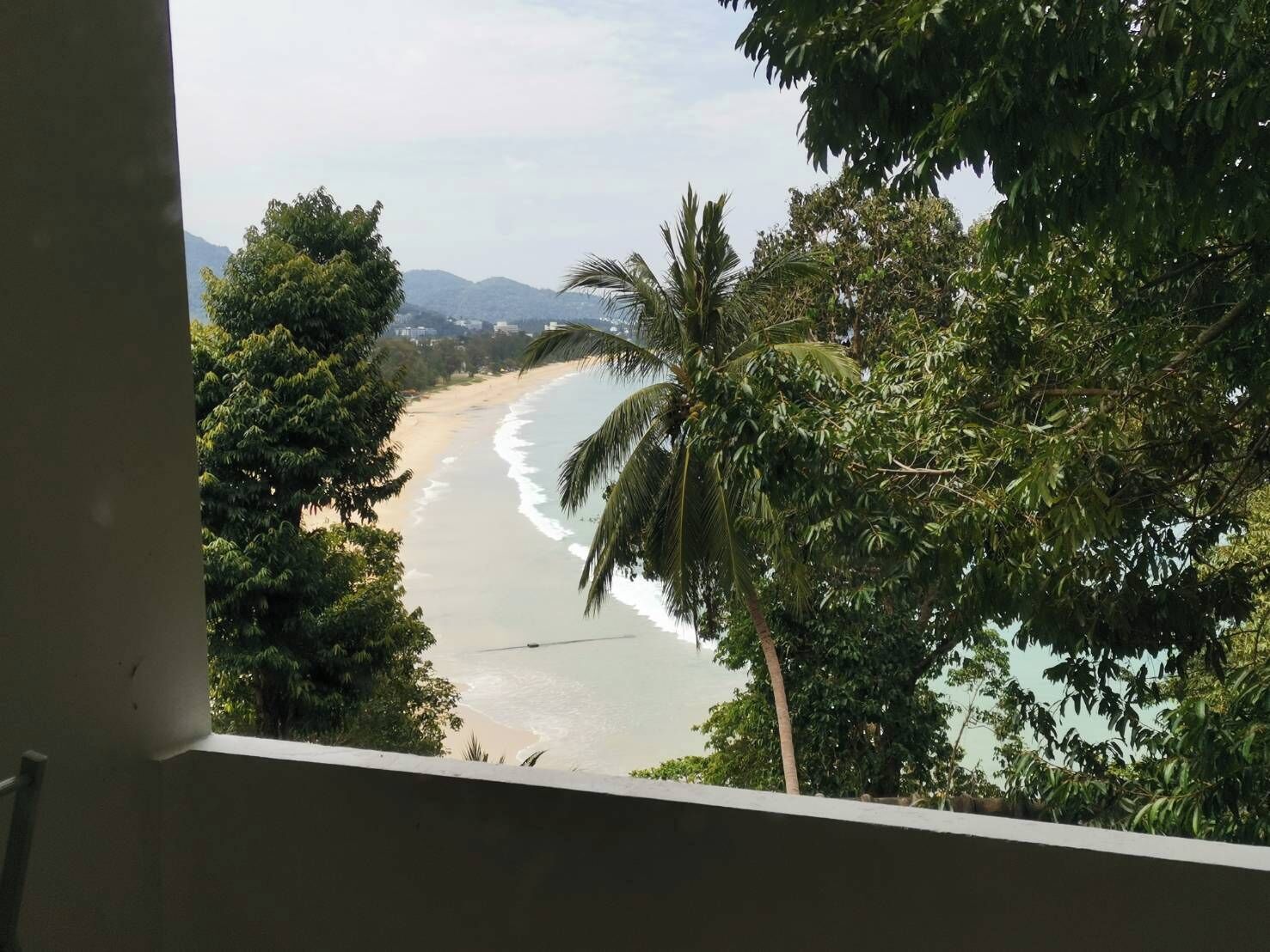 A view of a beach with palm trees and mountains in the background.