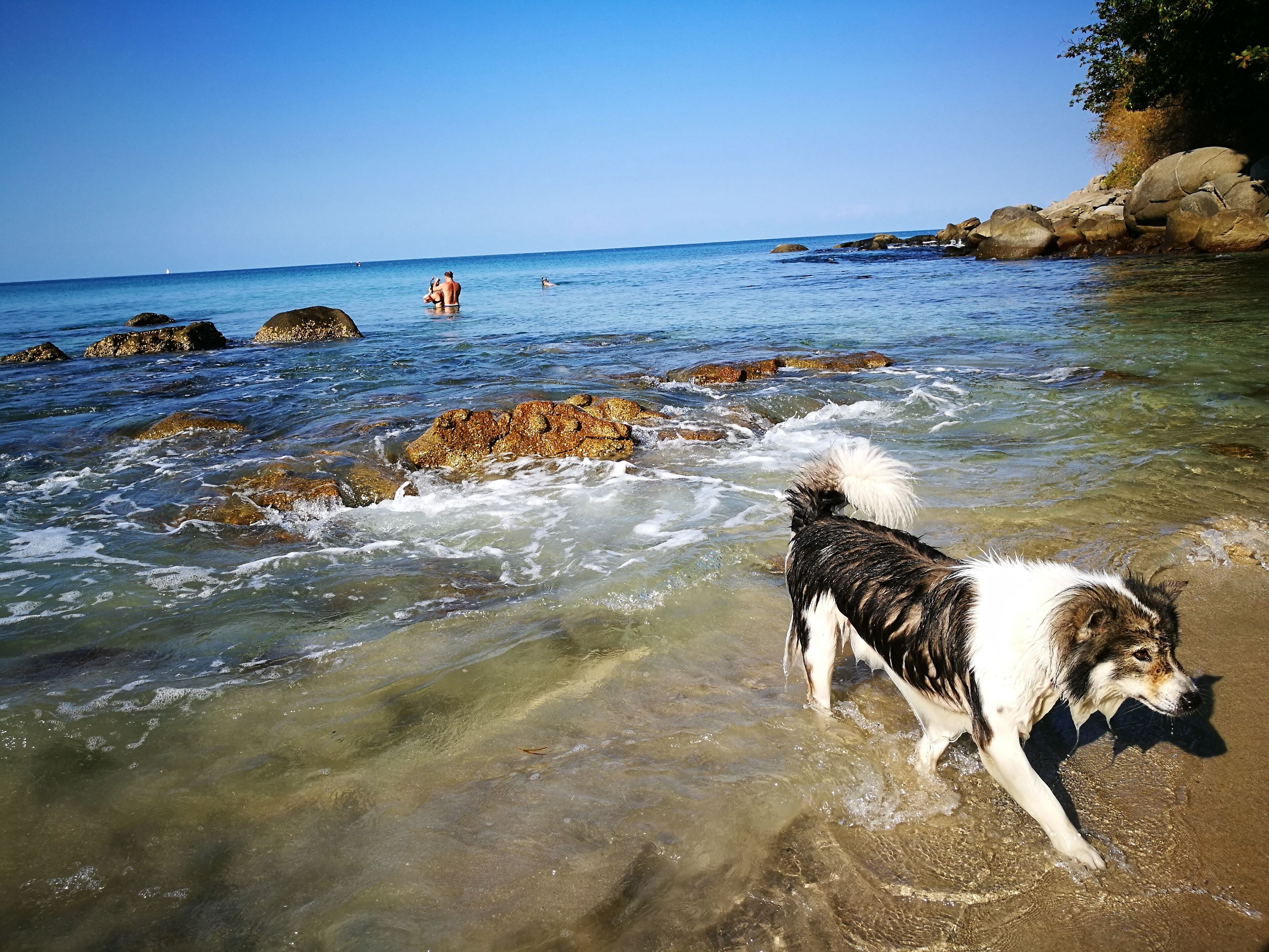 Strand