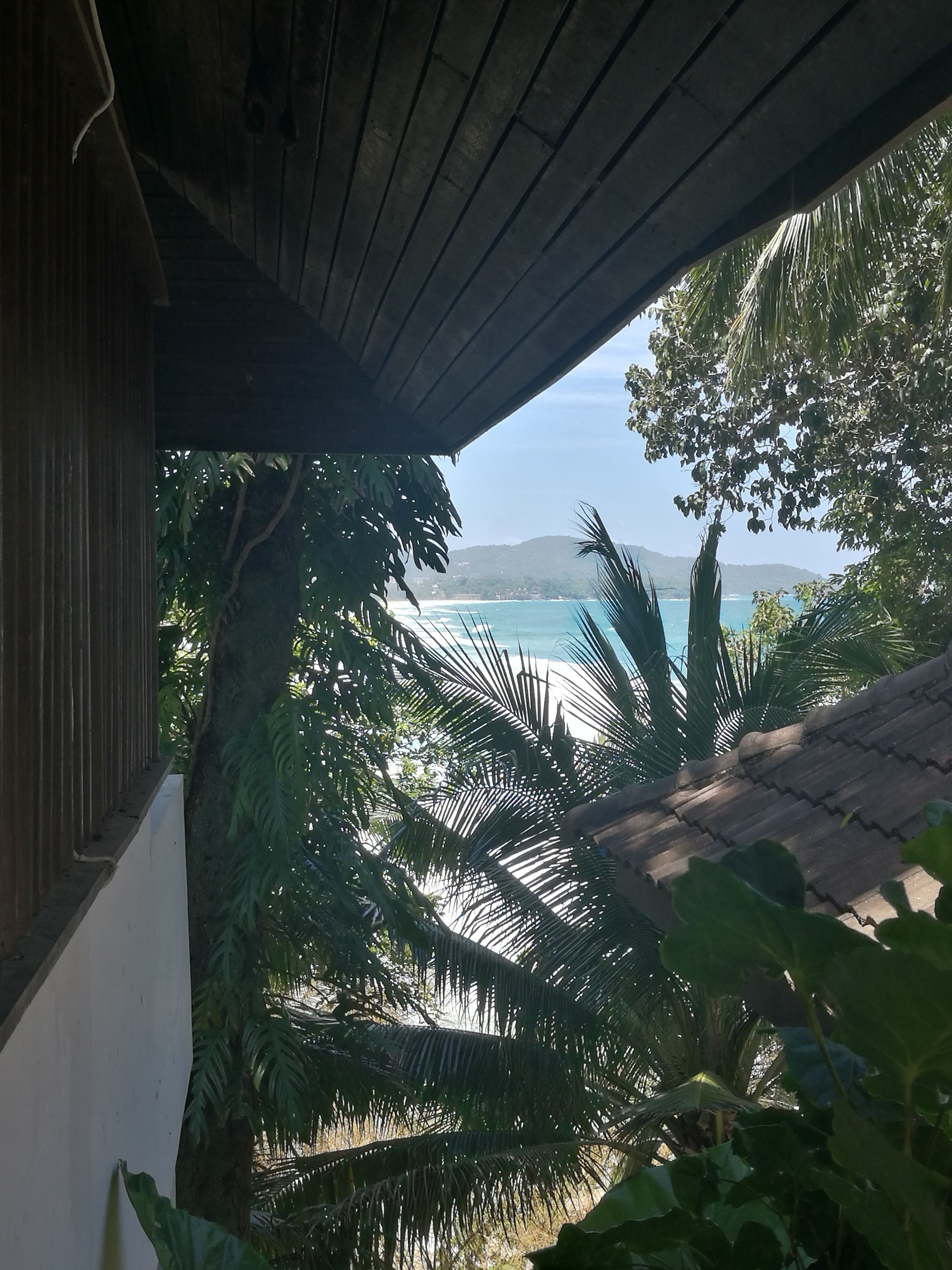 A view from a covered area overlooking a beach with palm trees and a clear sky.