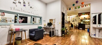 黃山考拉國際青年旅舍