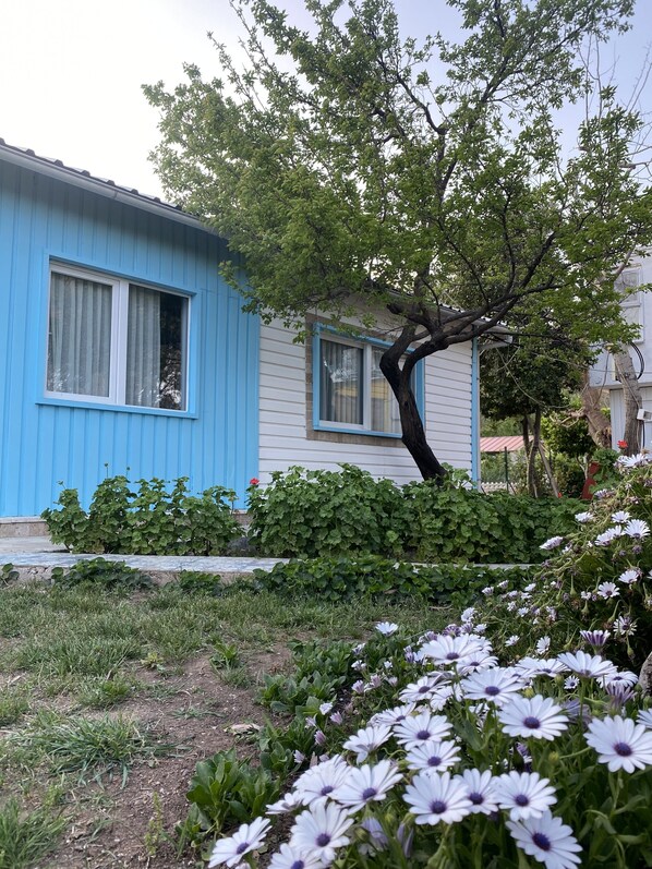 A house with a blue exterior and white trim, surrounded by a garden with white flowers and green foliage. - Çıralı Marina Loft Hotel (Kemer)