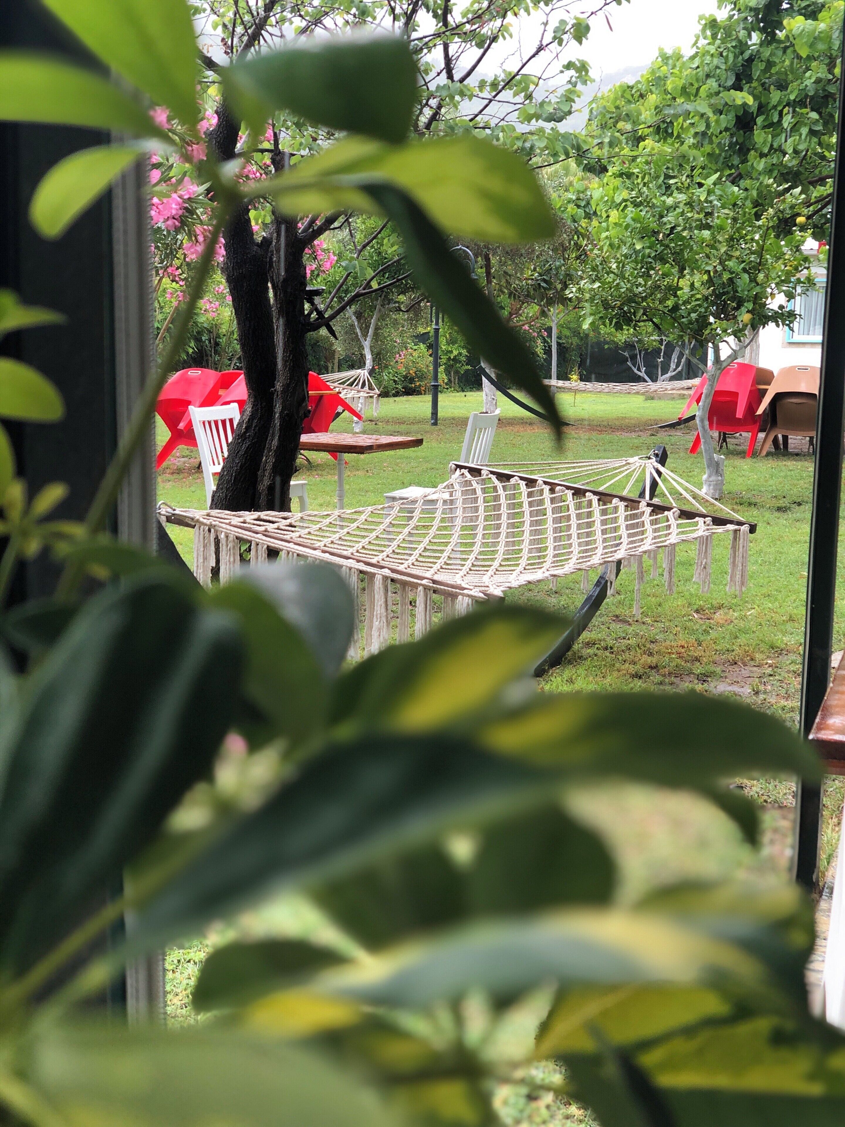 リビング エリア