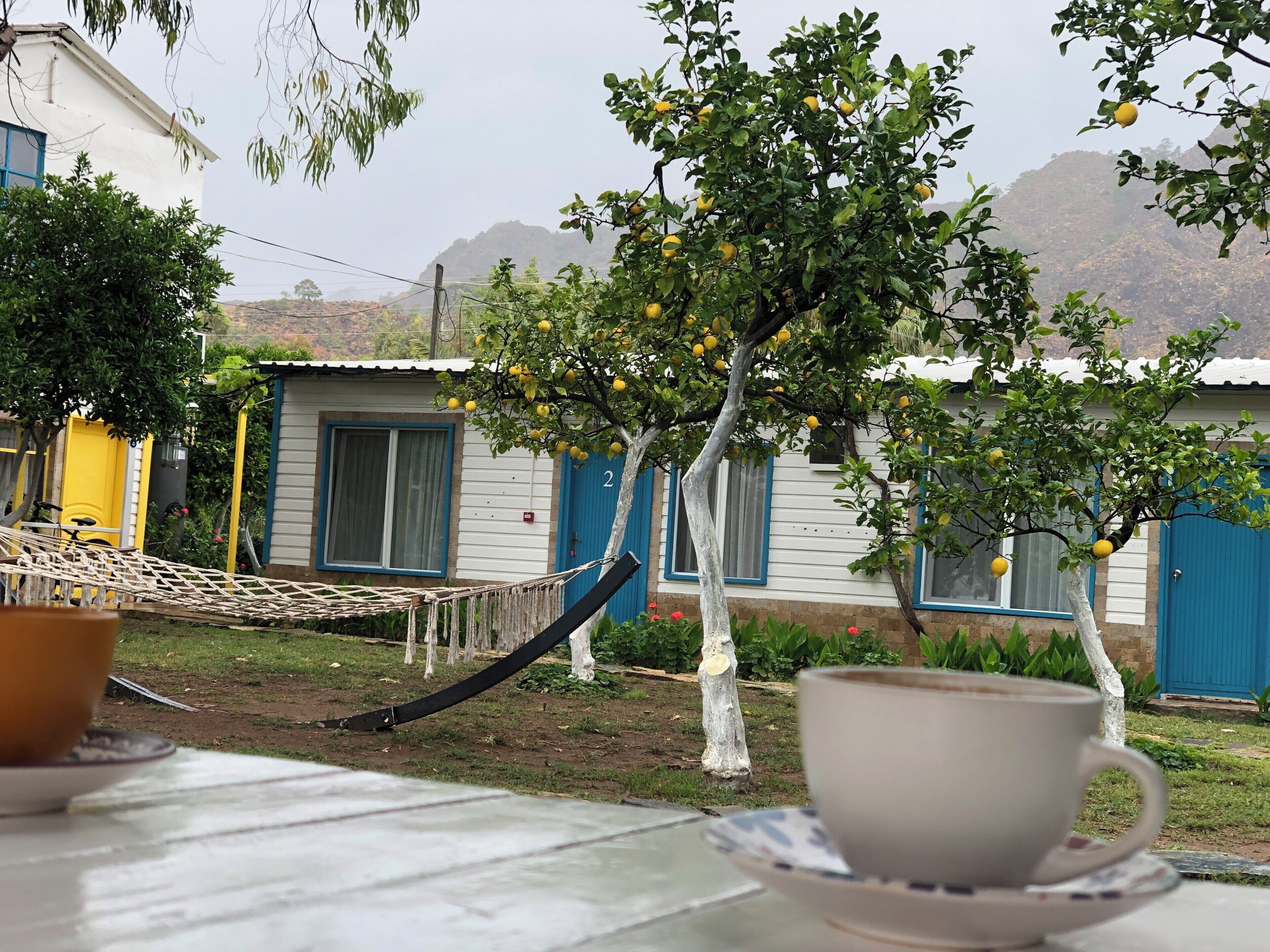 A rustic outdoor seating area with a hammock, a table with a cup and saucer, and a row of small houses with blue doors and windows.