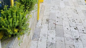 Un sendero conduce a un edificio con detalles en amarillo y azul, un muro de piedra con vegetación y una vista despejada del paisaje circundante.