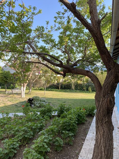 Çıralı Marina Loft Hotel