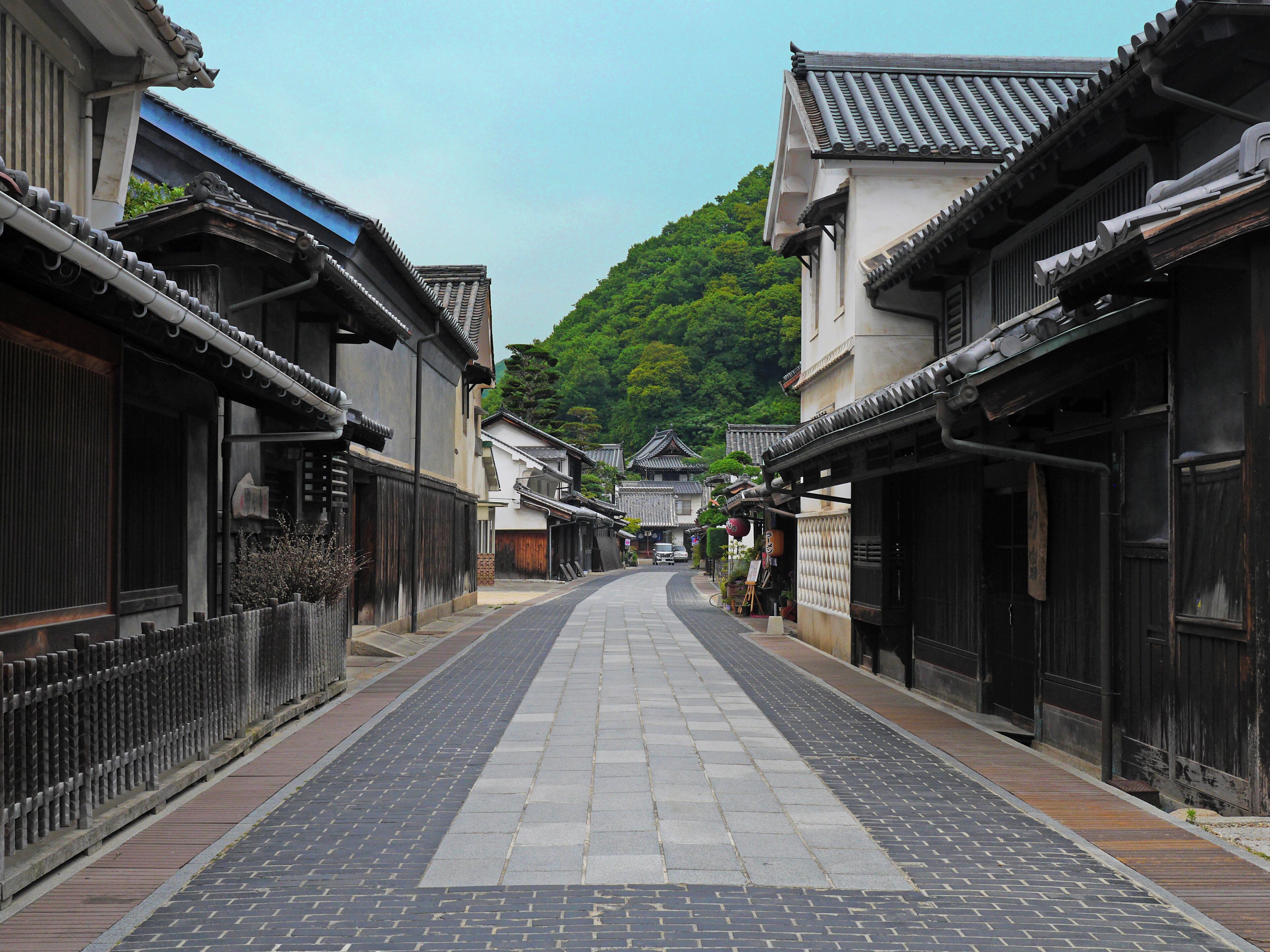 A traditional street with buildings featuring classic architecture, a paved walkway, and a forested hill in the background.