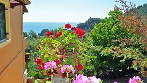 Ein Balkon mit einem Blumentopf voller roter und pinkfarbener Blüten, mit Blick auf eine Küstenlandschaft mit Bäumen und Meer.
