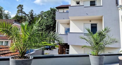 Ginko Boutique Rooms and Wellness