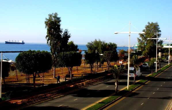 A coastal road with a pedestrian path, trees, and a distant ship.