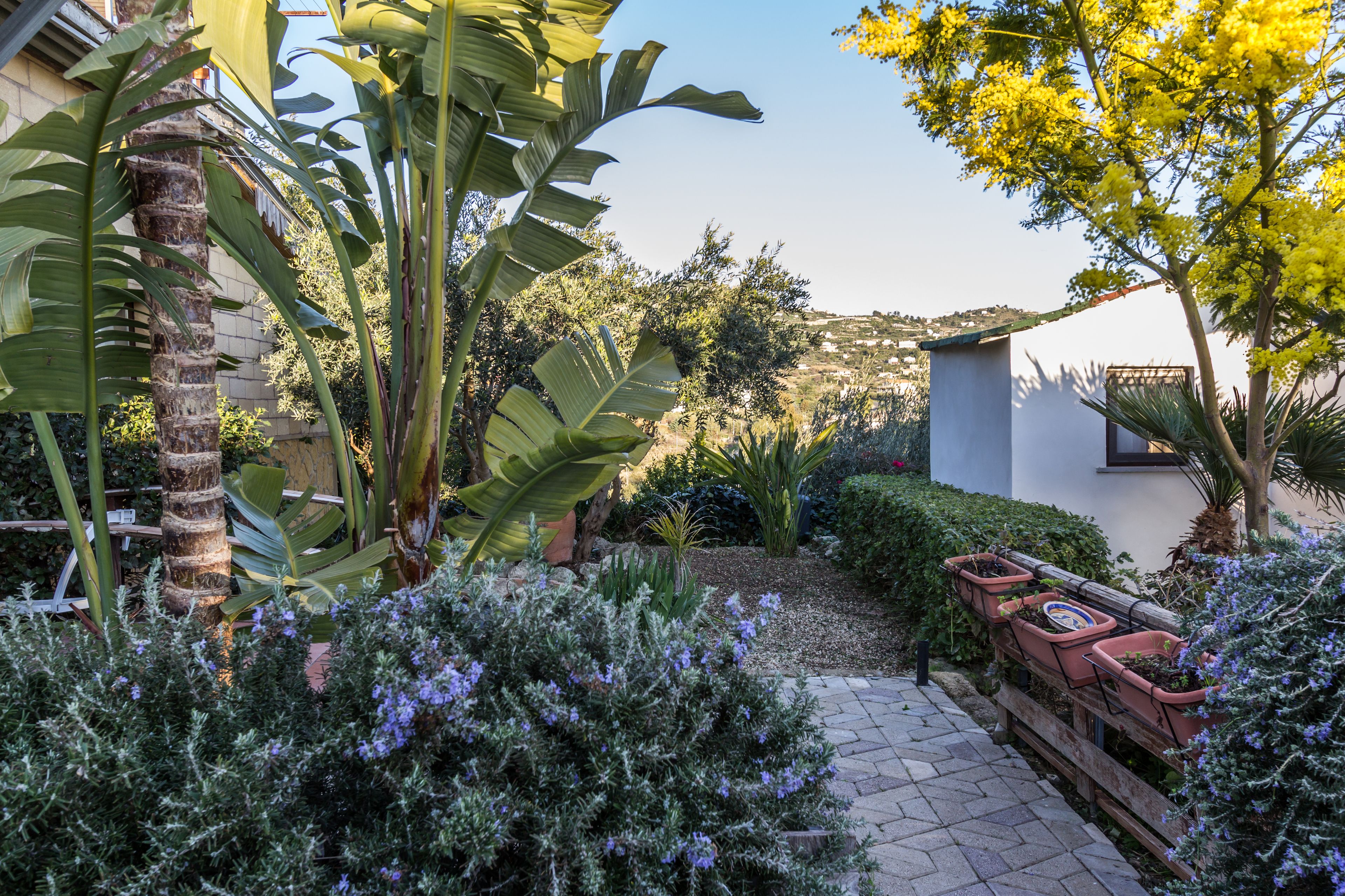 Photo - B&B Eyexei Domus