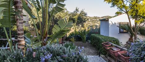 A garden with a paved path, various plants, and a white building in the background.