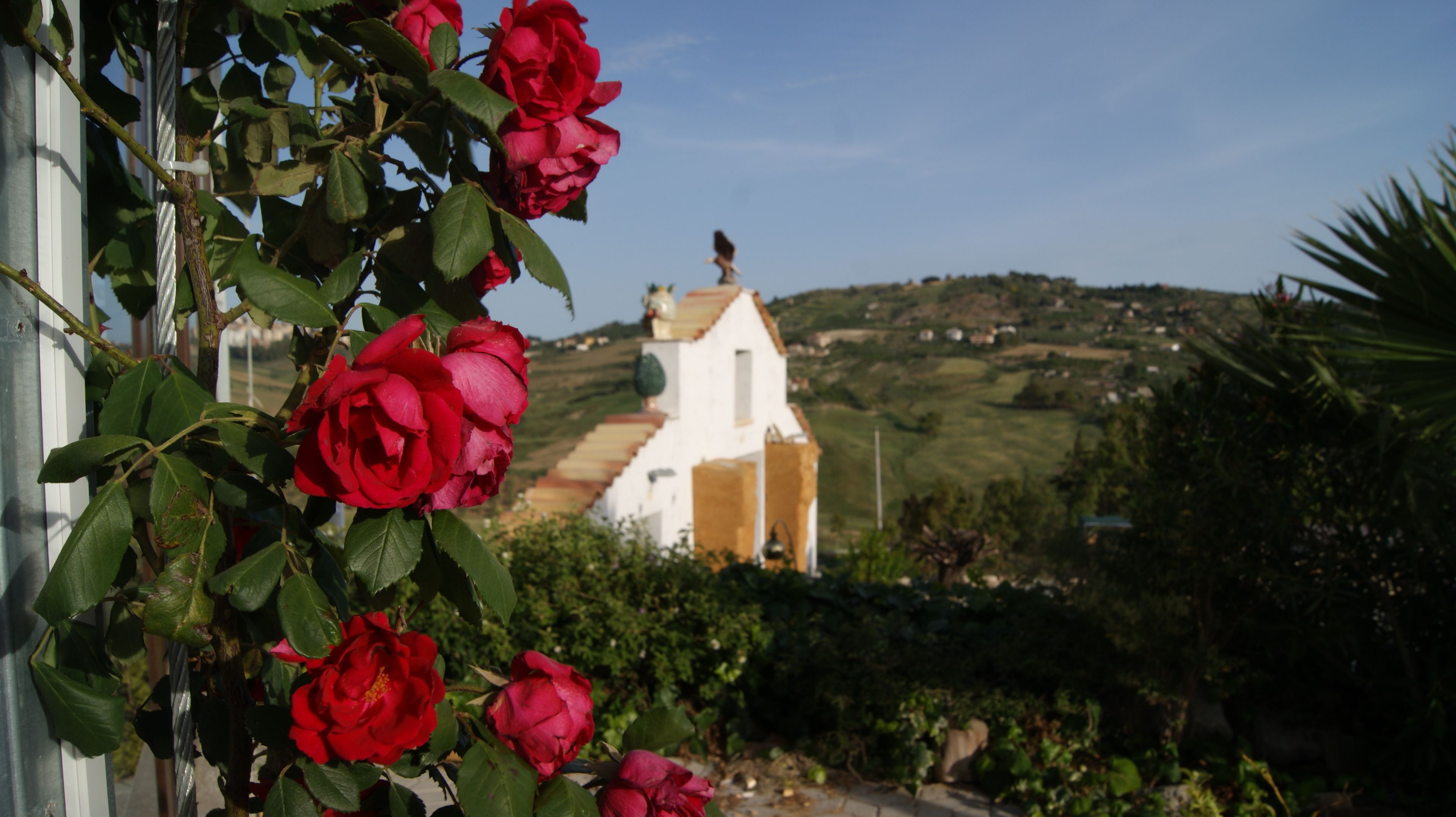 Photo - B&B Eyexei Domus