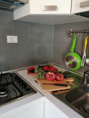 Großer Kühlschrank, Mikrowelle, Ofen, Herdplatte