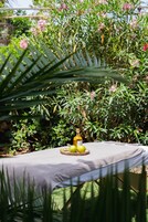 Mesa al aire libre con una botella y limones sobre una tabla de madera, rodeada de follaje y flores.
