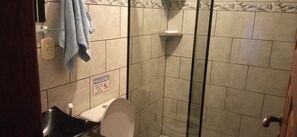 Shower, bidet, towels, soap