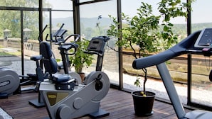 A gym with exercise equipment, a treadmill, and a potted plant.