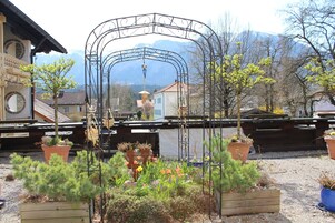 Vista desde la propiedad