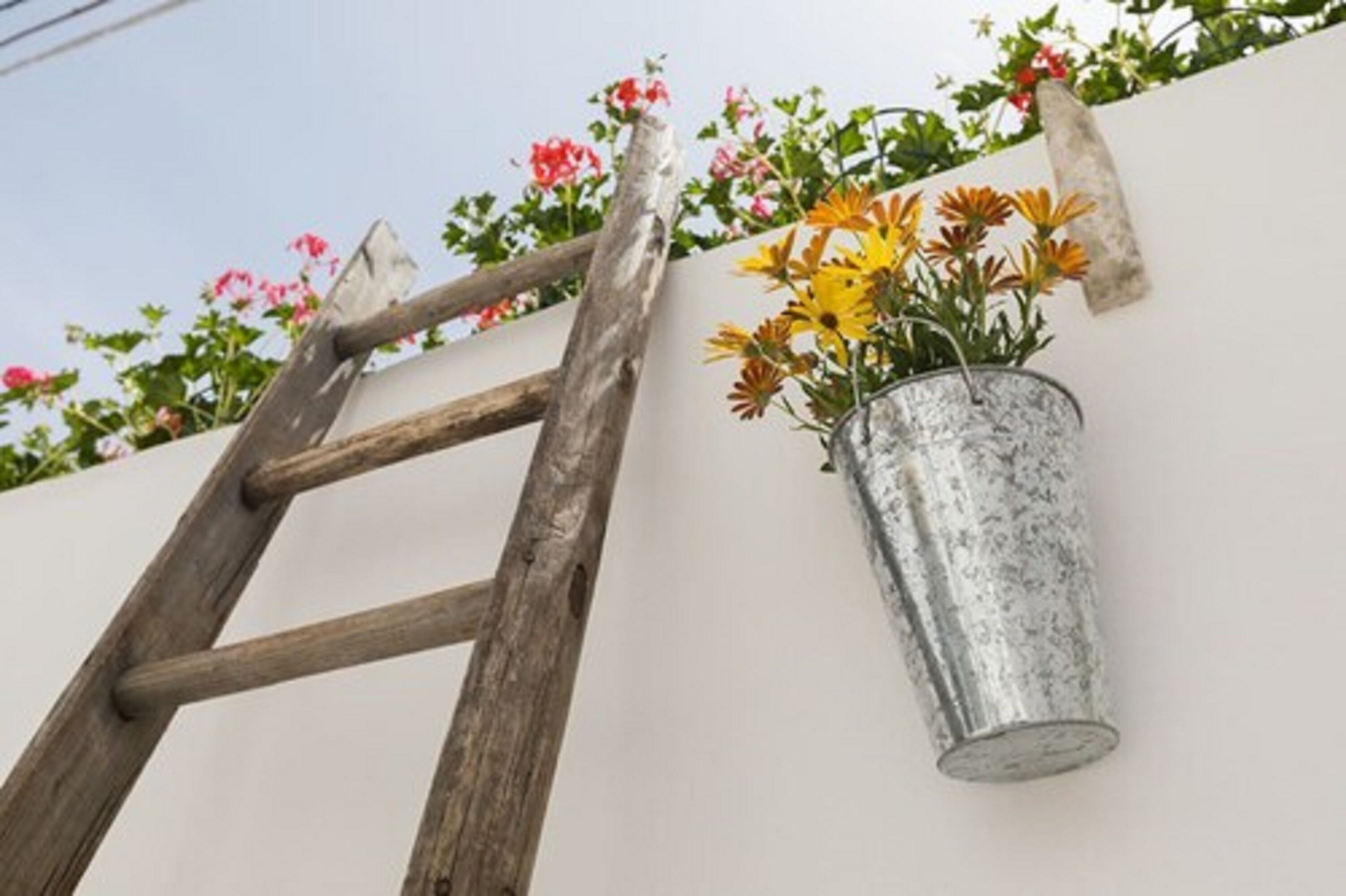 Un cubo de metal colgado en una pared con flores.