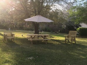 منطقة شواء/نزهات