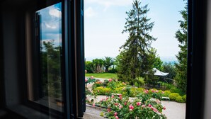Vista a través de una ventana de un jardín con un pabellón, un árbol grande y un camino de grava.