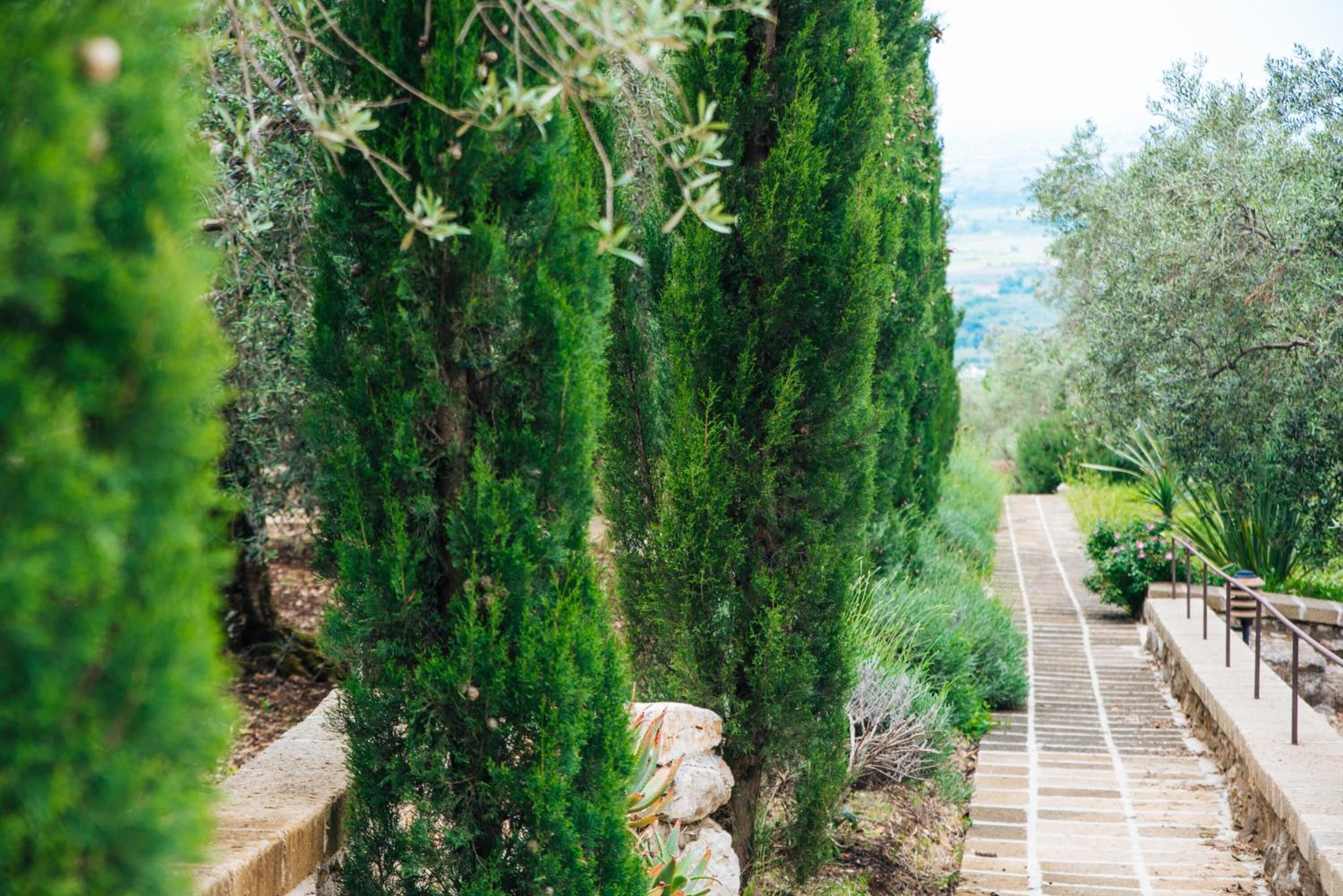 Overnatningsstedets område