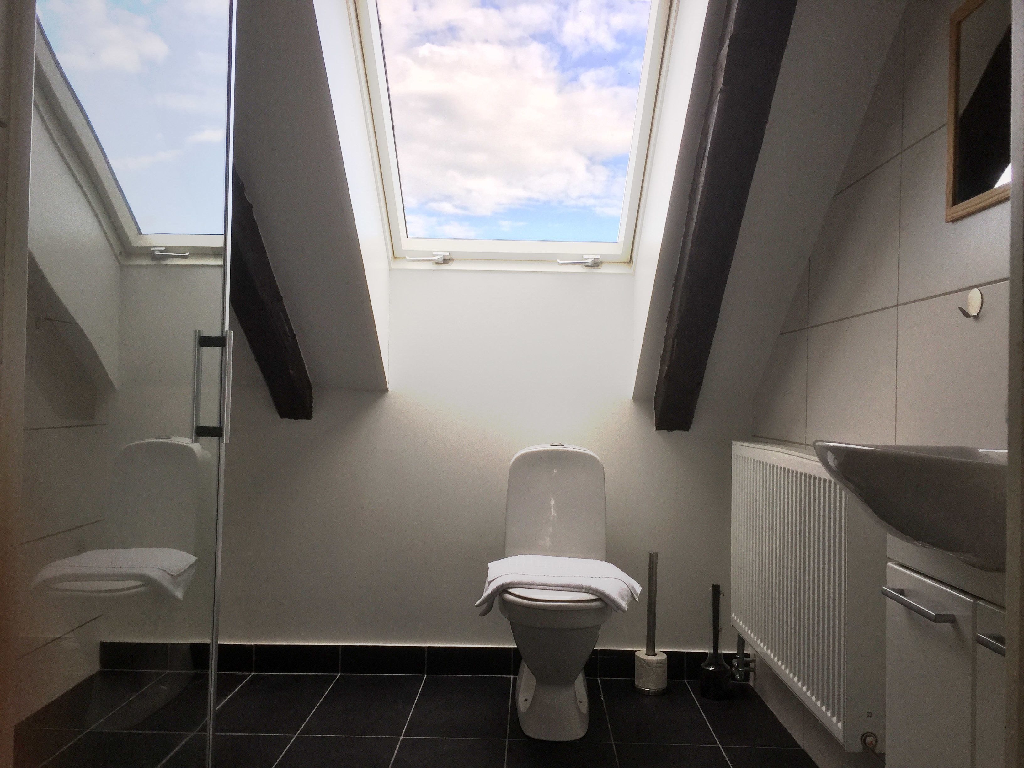 Une salle de bain moderne dotée d’un puits de lumière, de toilettes, d’un bidet et d’un lavabo.