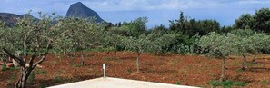 Garden - Bed & Breakfast Pietre Preziose (San Vito Lo Capo)