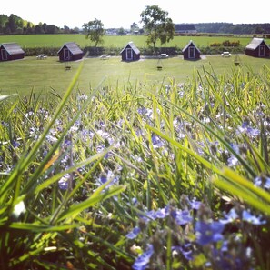 A rural landscape with small wooden structures, possibly farm buildings, and a field of purple flowers in the foreground. - Macbeth's Hillock (Nairn)