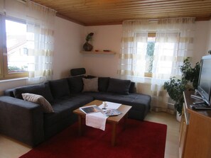 平板电视、乒乓球