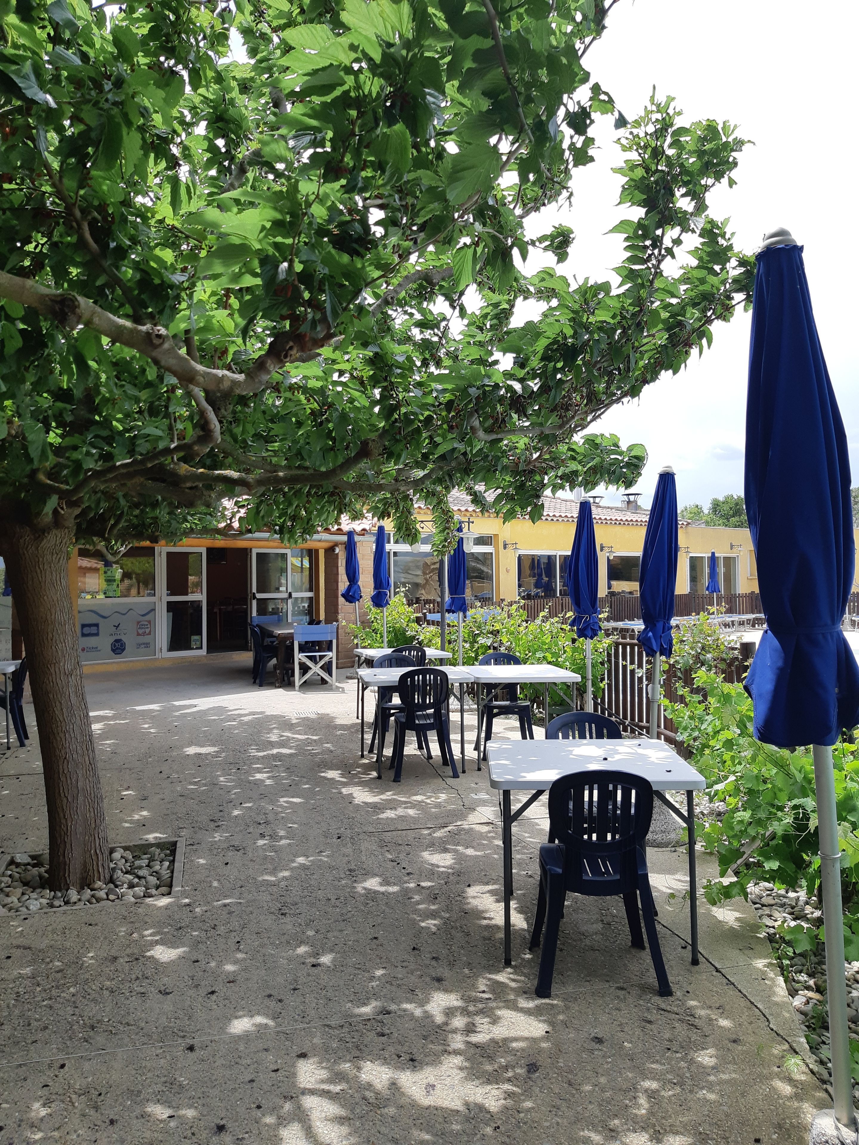 Lunch and dinner served, Italian cuisine