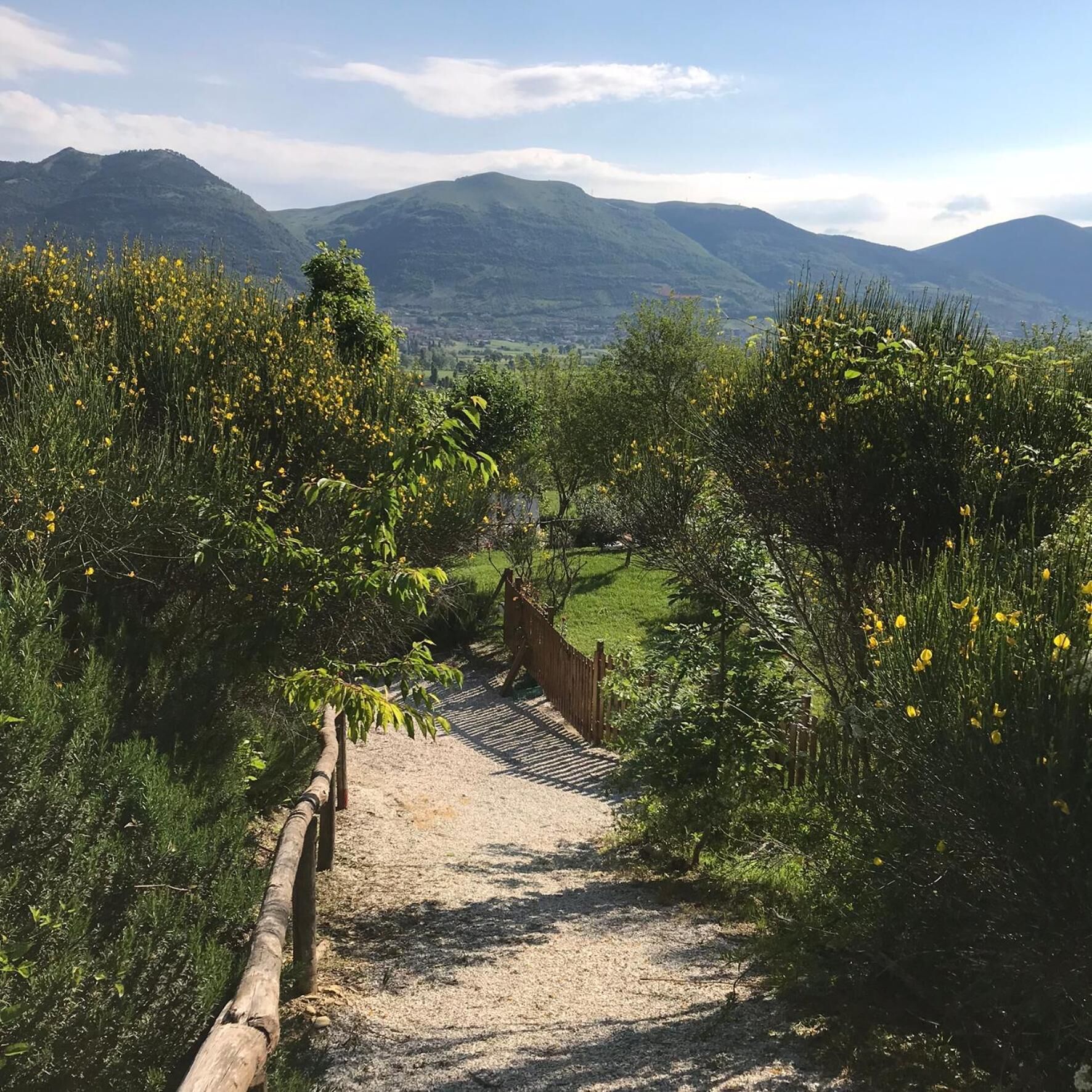 Área da propriedade