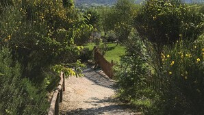 A gravel path leading through a garden with yellow flowers and a wooden fence. - Casa Minotti (Gubbio)