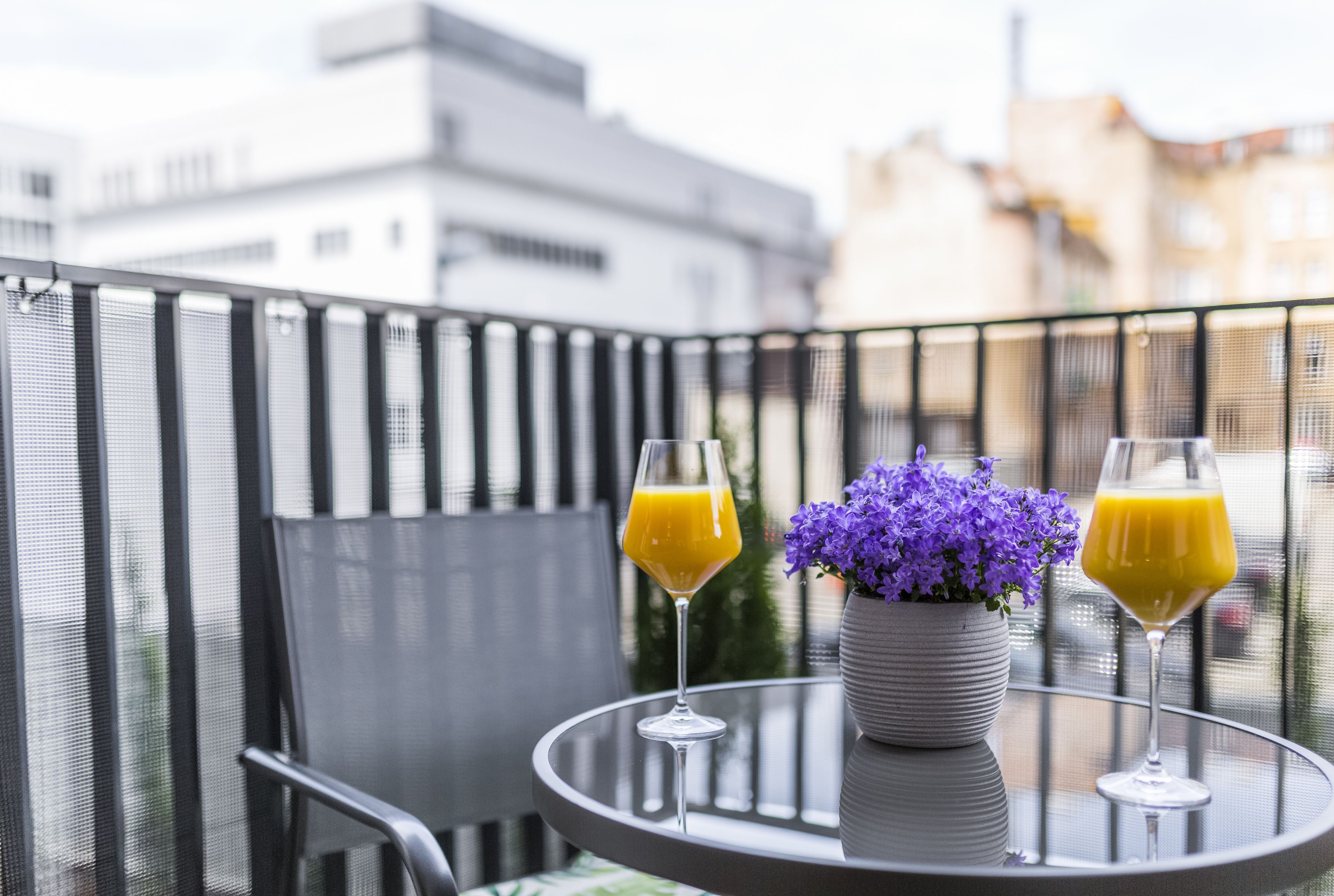 deluxe apartment, balcony | balcony view