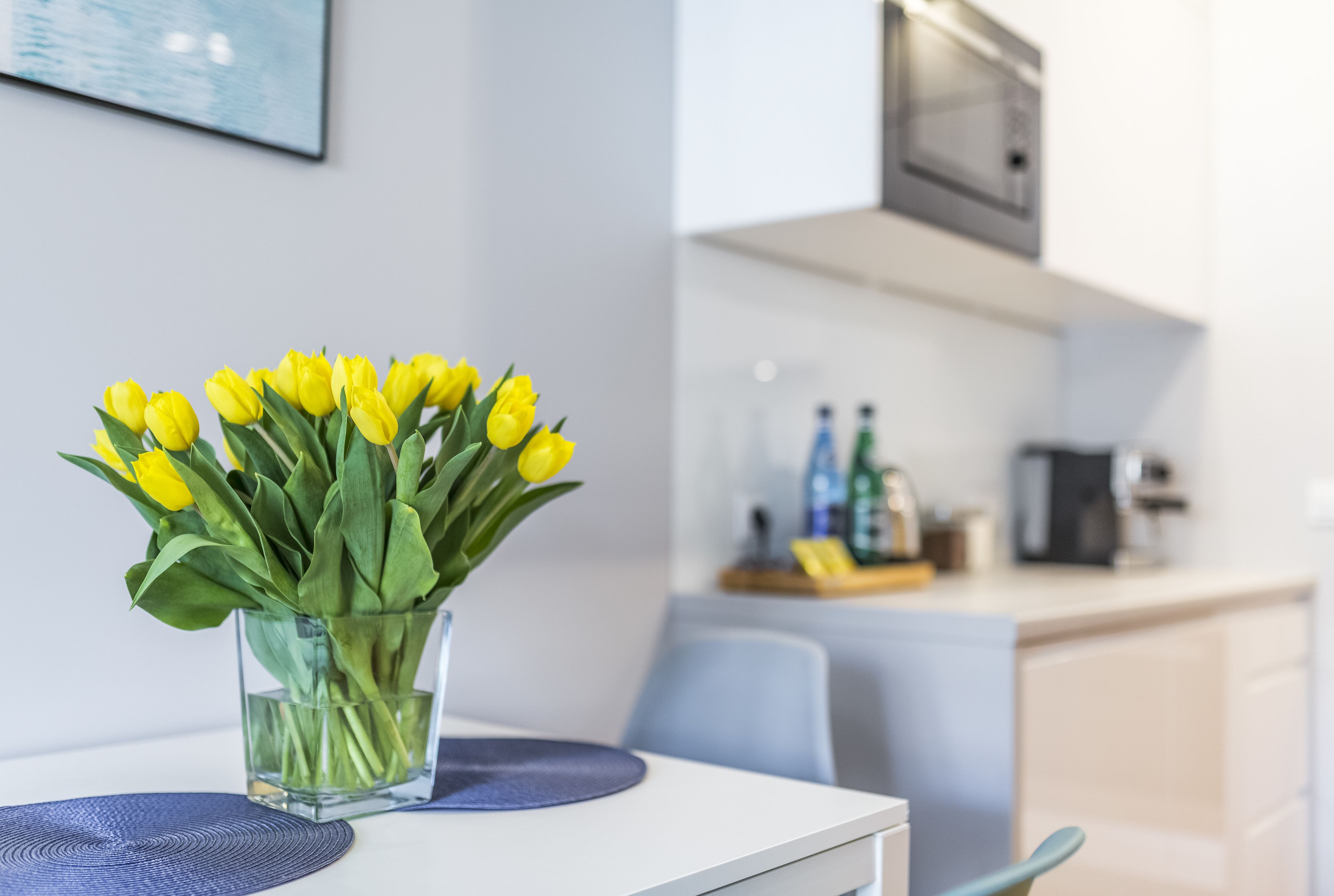 deluxe apartment, balcony | 1 bedroom, egyptian cotton sheets, premium bedding, down duvets