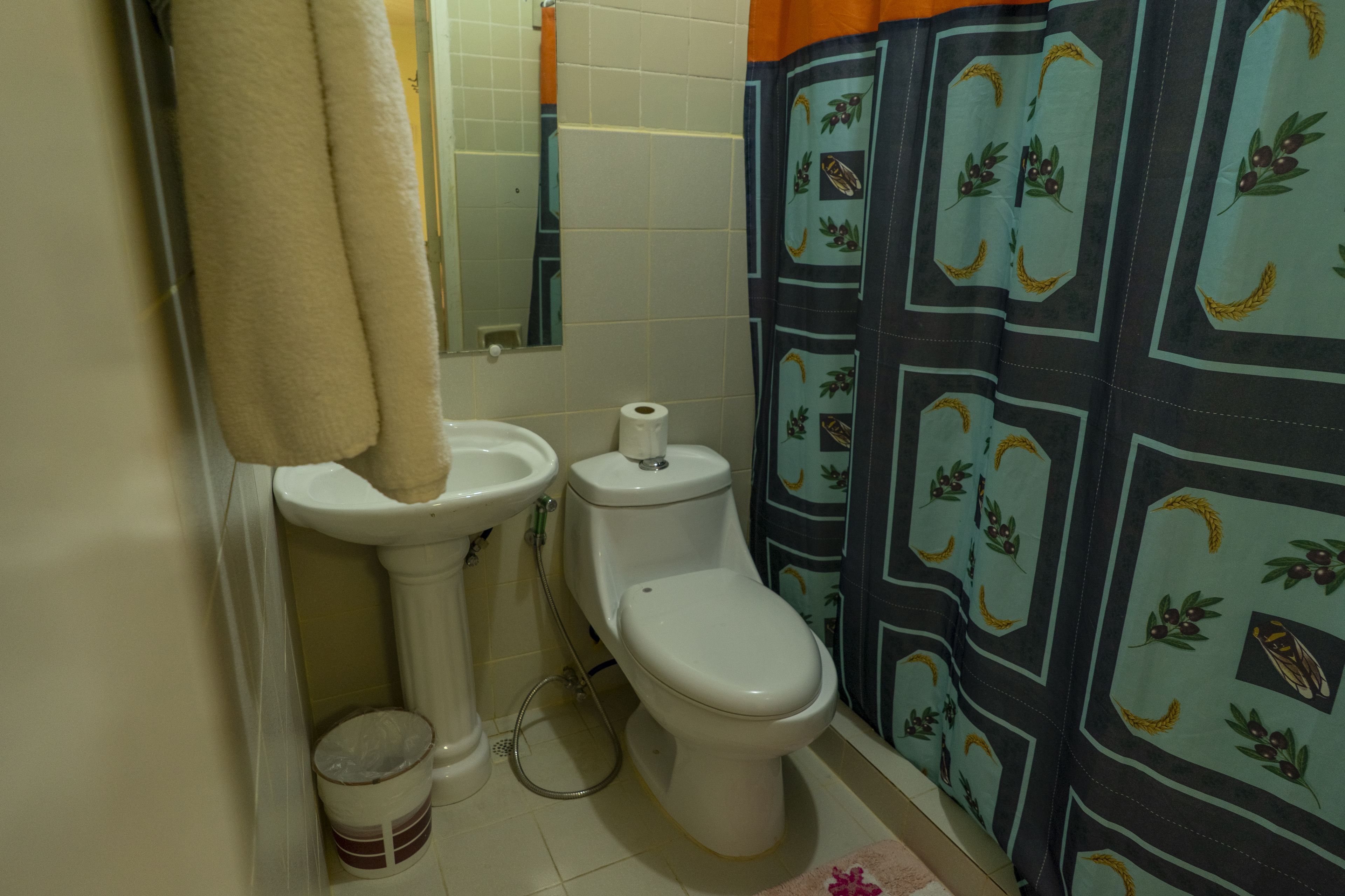 A bathroom with a toilet, sink, and mirror.