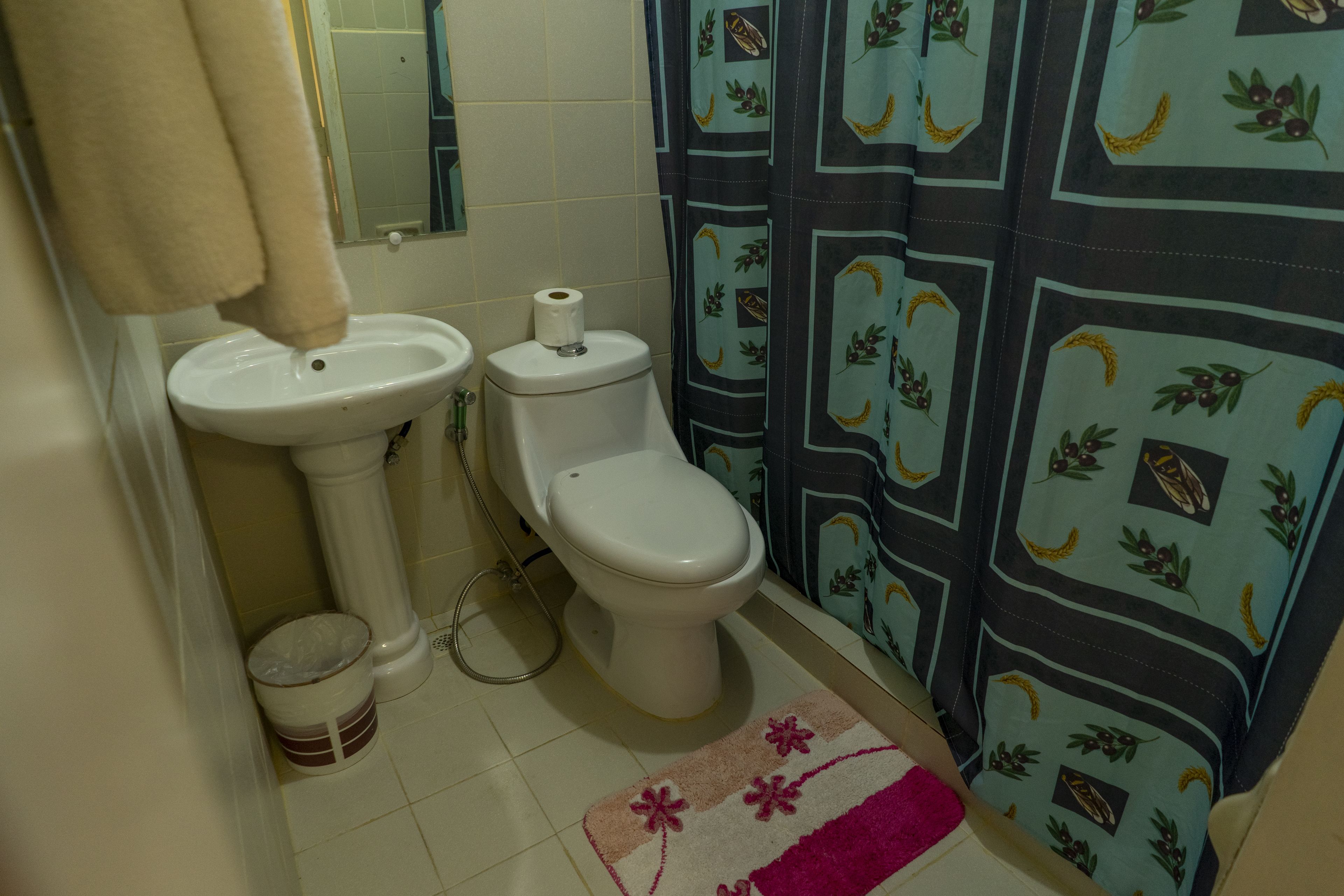 A bathroom with a sink, toilet, and shower curtain.