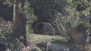 Un jardí amb un arbre gran, una roca i una jardiniera plena de plantes.