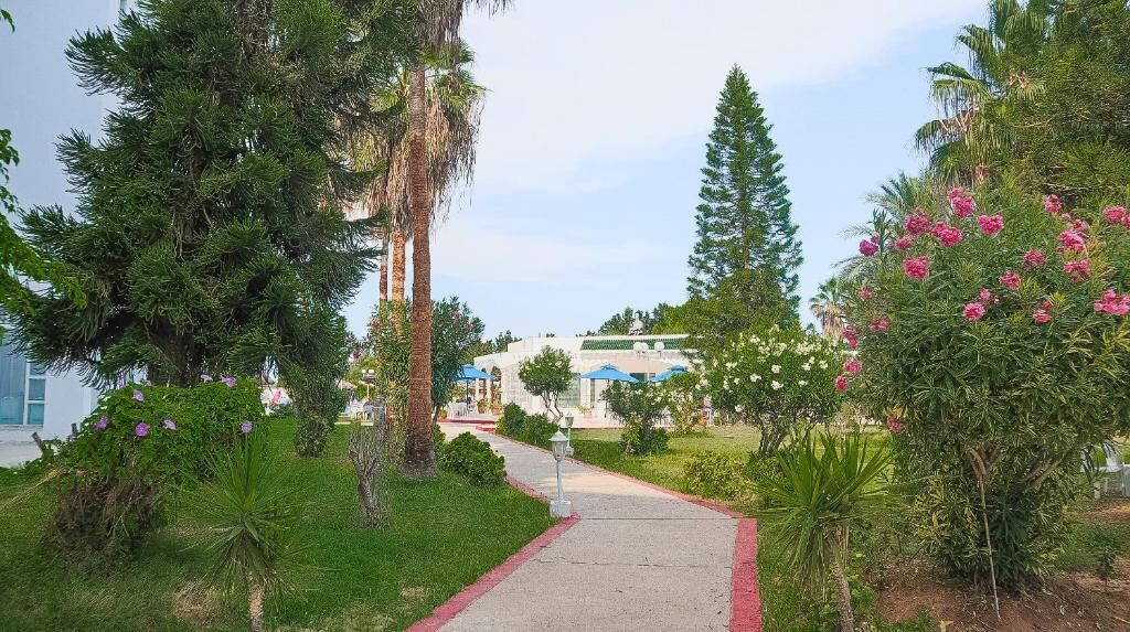 Foto - Hotel Royal Jinene & Hotel Jinene